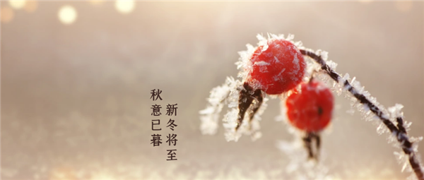 圖怪獸_71ce164b20ab5ec6439b7cbf8f01edbc_90212