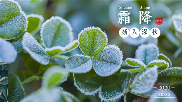 圖怪獸_2cb58b13acc65ce4814fe88412cd4a0d_18332